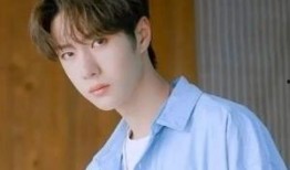 烈焰大王爆料王一博视频,烈焰大王揭秘背后真相