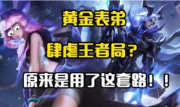 王者爆料表哥视频大全最新,表哥视频大全，揭秘游戏幕后精彩瞬间